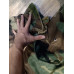 USA JACKET M65 WOODLAND BDU
